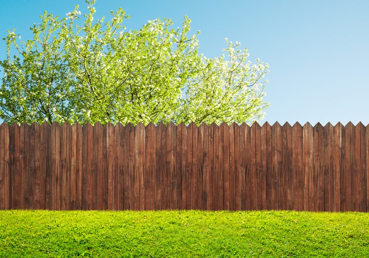 a wooden garden fence