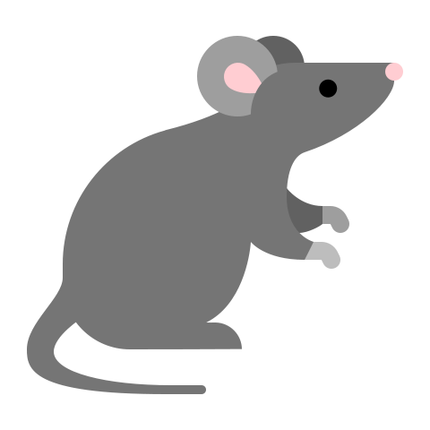 mouse